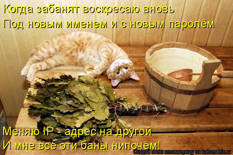 Котоматрица: Когда забанят воскресаю вновь Под новым именем и с новым паролём Меняю IP - адрес на другой И мне все эти баны нипочём!