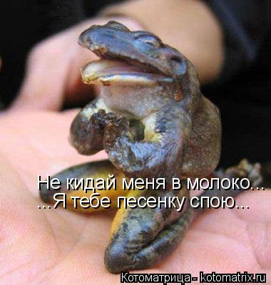 Не кидай меня в молоко... Не кидай меня в молоко... ...Я тебе песенку спою... ...Я тебе песенку спою.... Котоматрица: Не кидай меня в молоко... Не кидай меня в молоко... ...Я тебе песенку спою... ...Я тебе песенку спою...