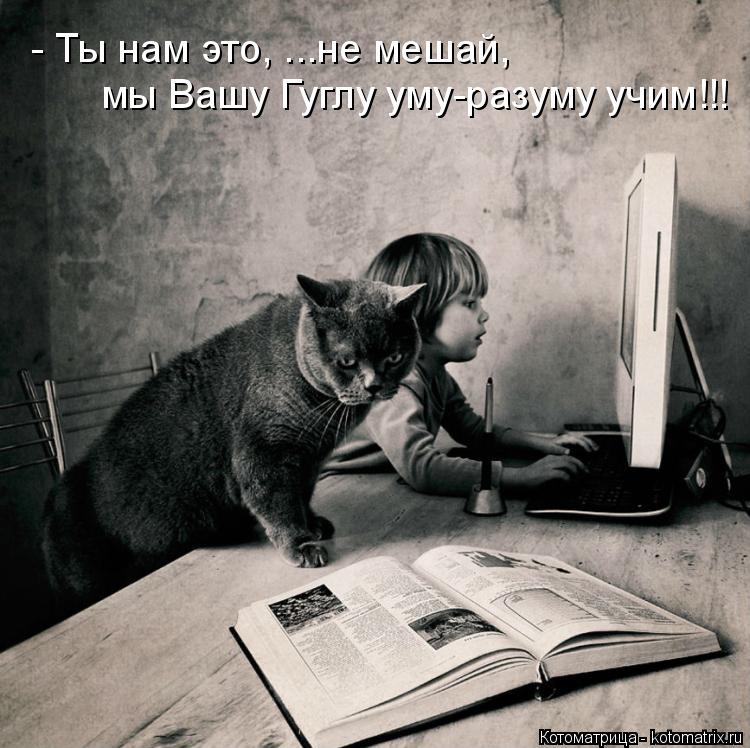 Котоматрица: - Ты нам это, ...не мешай,  мы Вашу Гуглу уму-разуму учим!!!