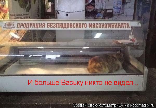 Котоматрица: И больше Ваську никто не видел...