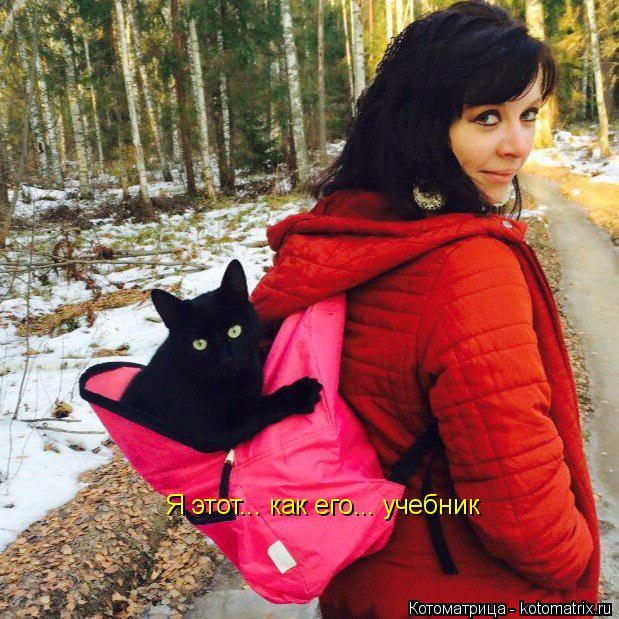 Котоматрица: Я этот... как его... учебник