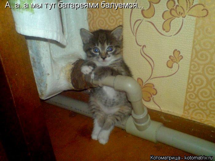 А..а..а мы тут батареями балуемся...... Котоматрица: А..а..а мы тут батареями балуемся...