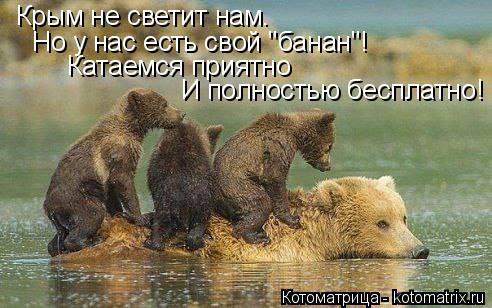 Котоматрица: Крым не светит нам. Но у нас есть свой "банан"! Катаемся приятно И полностью бесплатно!