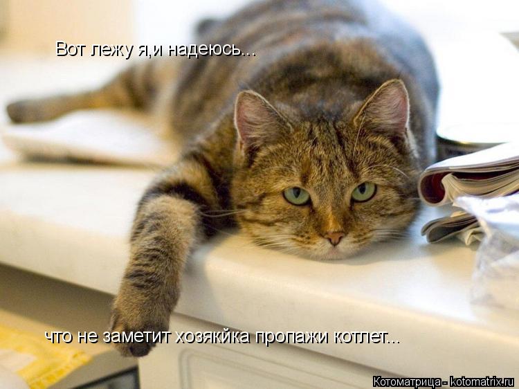 Котоматрица: Вот лежу я,и надеюсь... что не заметит хозякйка пропажи котлет...