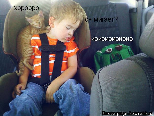 Котоматрица: хрррррр он мигает? иэиэиэиэиэиэ