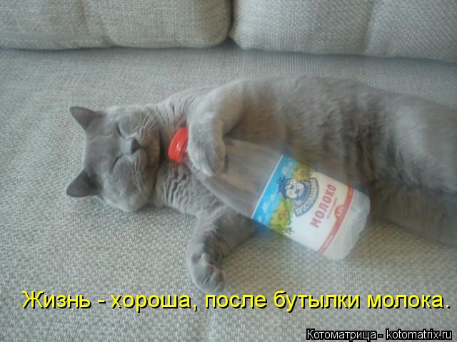 Котоматрица: Жизнь - хороша, после бутылки молока.