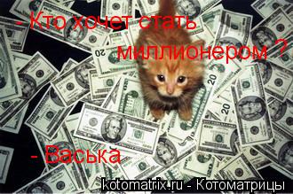 Котоматрица: - Кто хочет стать миллионером - Васька  ?