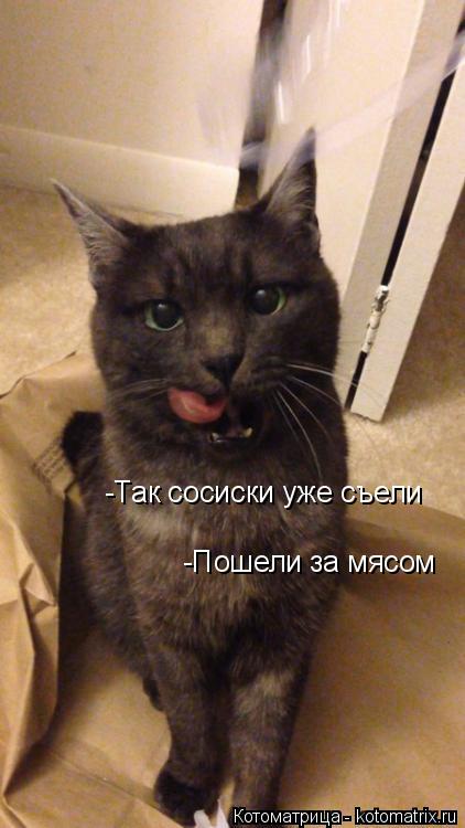 Котоматрица: -Так сосиски уже съели -Пошели за мясом