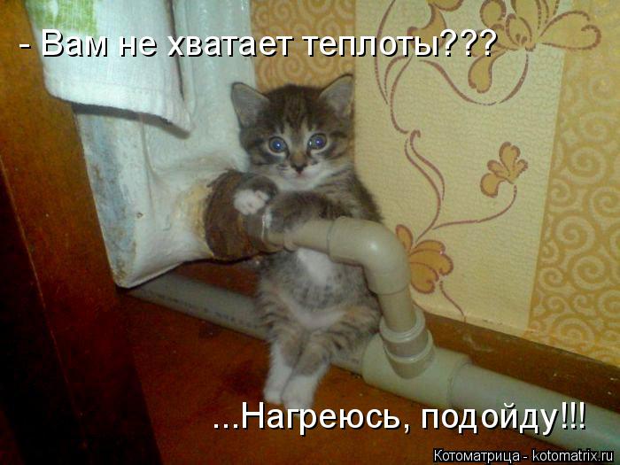 Котоматрица: - Вам не хватает теплоты??? ...Нагреюсь, подойду!!!