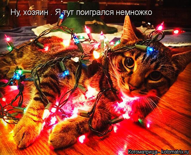 Котоматрица: Ну, хозяин . Я тут поигрался немножко