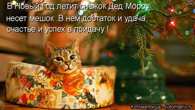 Котоматрица: В Новый Год летит снежок Дед Мороз  несет мешок .В нем достаток и удача счастье и успех в придачу !