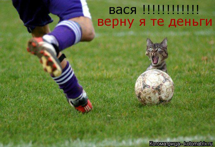 Котоматрица: вася !!!!!!!!!!!! верну я те деньги