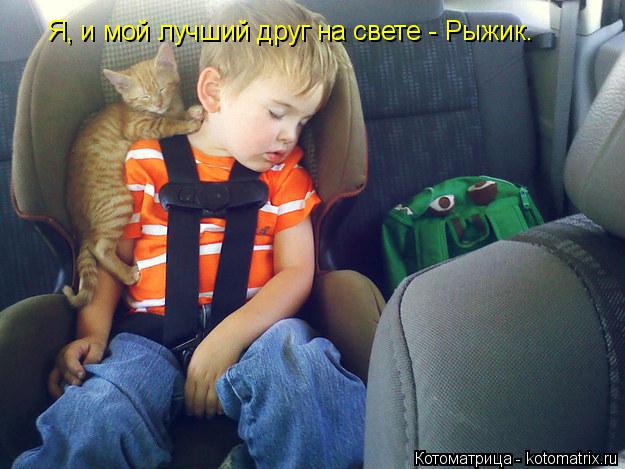 Котоматрица: Я, и мой лучший друг на свете - Рыжик.