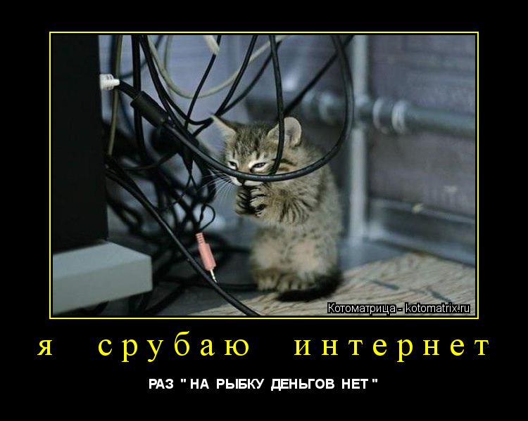 Котоматрица: я  срубаю  интернет РАЗ  " НА  РЫБКУ  ДЕНЬГОВ  НЕТ "