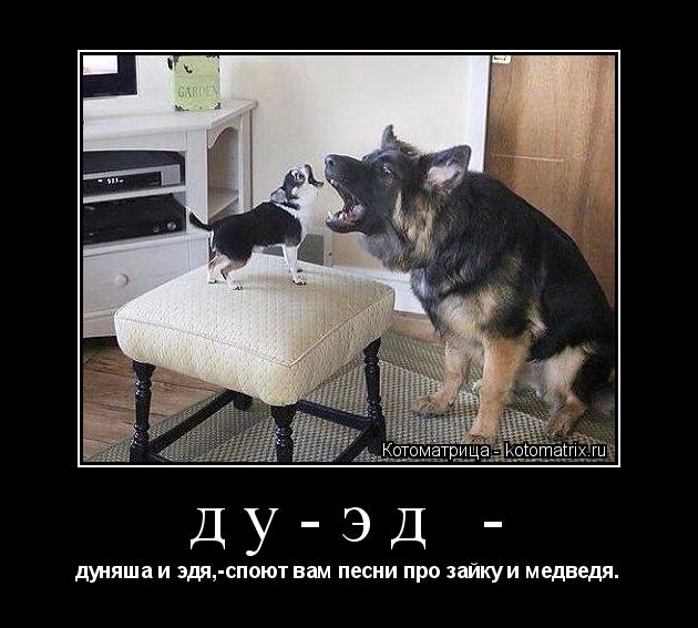 Котоматрица: ду-эд - дуняша и эдя,-споют вам песни про зайку и медведя.