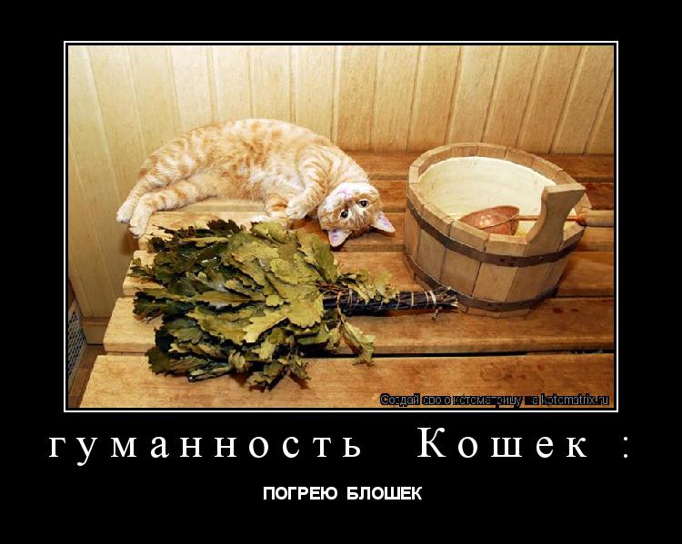 Котоматрица: гуманность  Кошек :  ПОГРЕЮ  БЛОШЕК