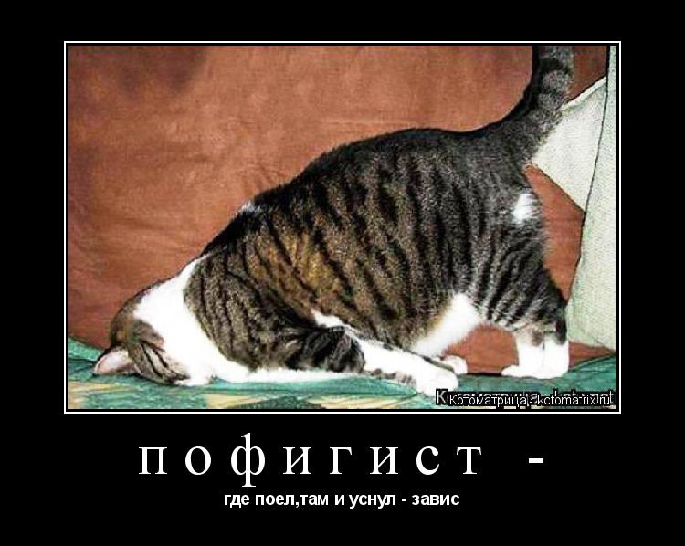 Котоматрица: пофигист - где поел,там и уснул - завис