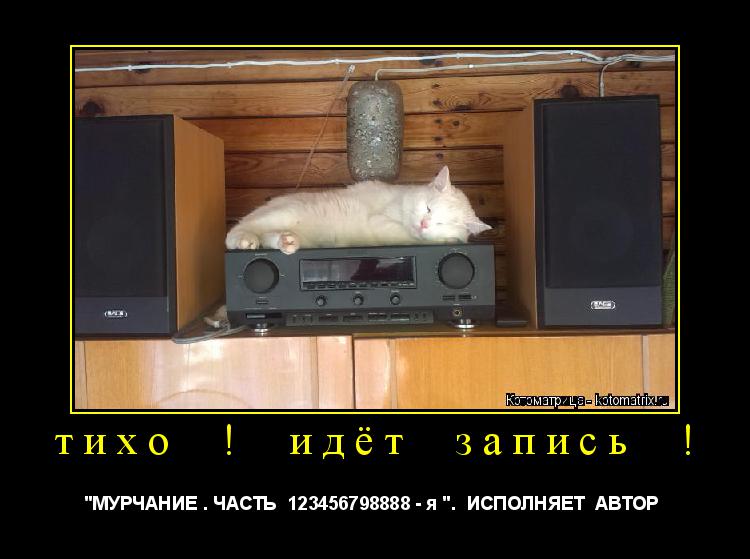 Котоматрица: тихо  !  идёт  запись  ! "МУРЧАНИЕ . ЧАСТЬ  123456798888 - я ".  ИСПОЛНЯЕТ  АВТОР 