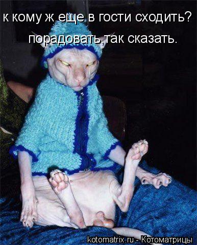 Котоматрица: к кому ж еще в гости сходить? порадовать,так сказать.