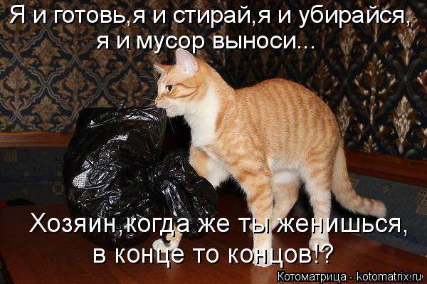 Котоматрица: Я и готовь,я и стирай,я и убирайся, я и мусор выноси... Хозяин,когда же ты женишься, в конце то концов!?