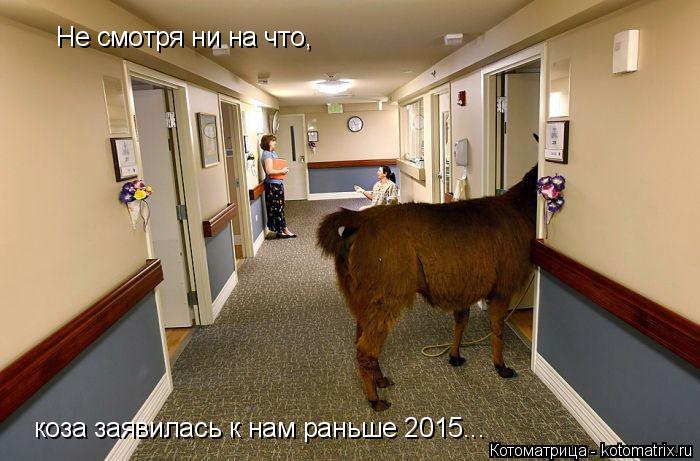 Котоматрица: Не смотря ни на что, коза заявилась к нам раньше 2015...