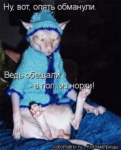 Котоматрица: Ну, вот, опять обманули. Ведь обещали  - в пол, из норки!
