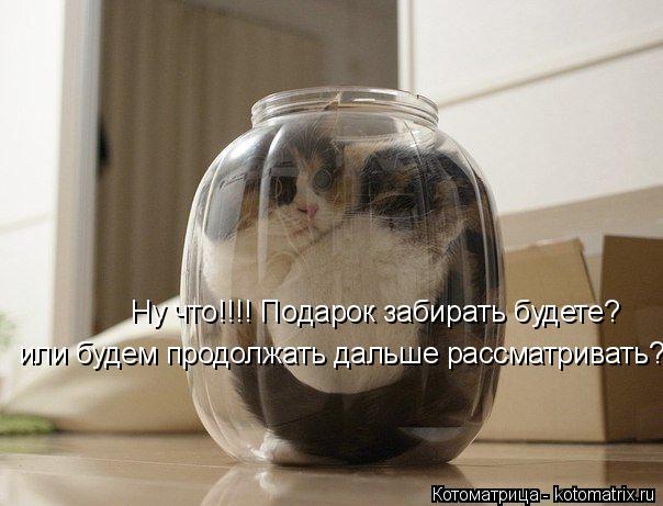 Котоматрица: Ну что!!!! Подарок забирать будете? или будем продолжать дальше рассматривать?