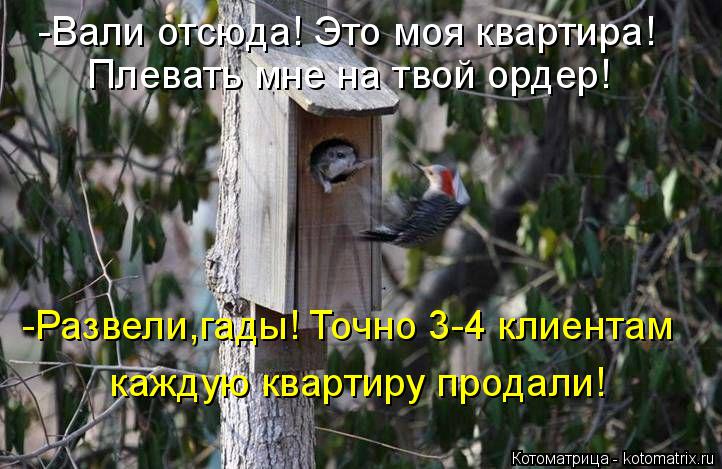 Котоматрица: Плевать мне на твой ордер! -Вали отсюда! Это моя квартира! -Развели,гады! Точно 3-4 клиентам каждую квартиру продали!