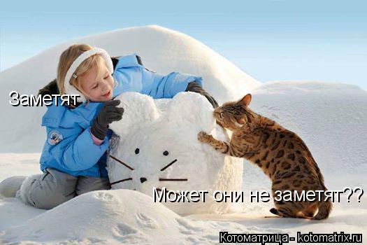 Котоматрица: Может они не заметят?? Заметят