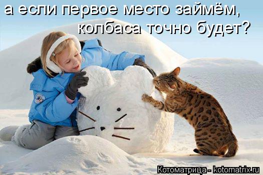 Котоматрица: а если первое место займём, колбаса точно будет?