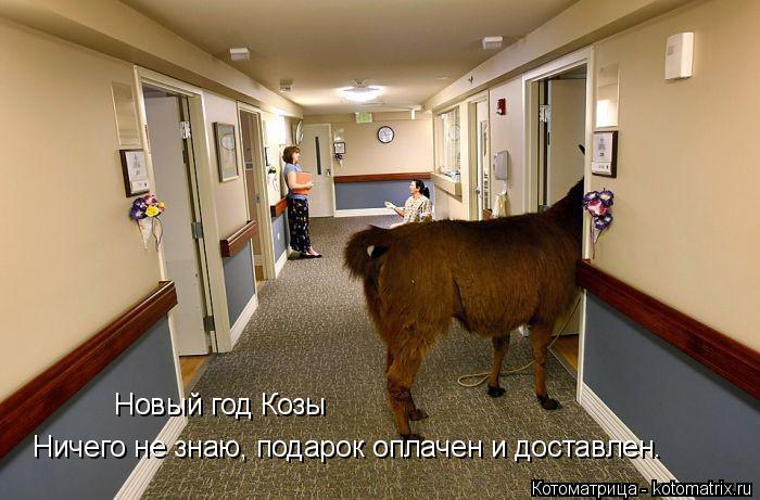 Котоматрица: Новый год Козы Ничего не знаю, подарок оплачен и доставлен.