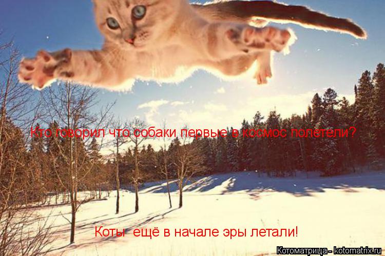 Котоматрица: Кто говорил что собаки первые в космос полетели? Коты  ещё в начале эры летали!