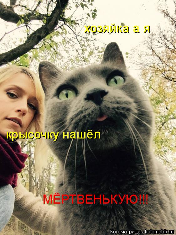 Котоматрица: крысочку нашёл хозяйка а я МЁРТВЕНЬКУЮ!!!