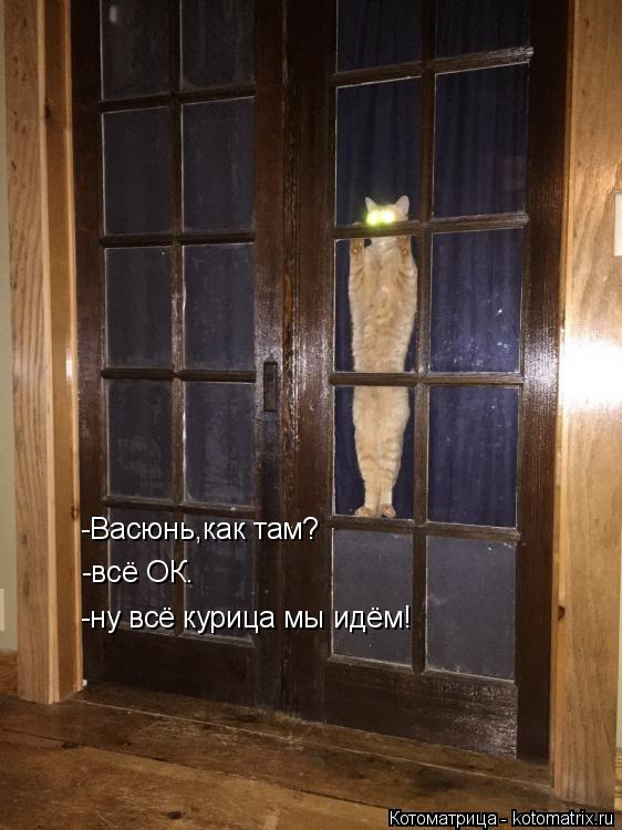 -Васюнь,как там? -всё ОК. -ну всё курица мы идём!... Котоматрица: -Васюнь,как там? -всё ОК. -ну всё курица мы идём!