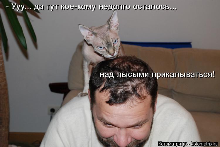 Котоматрица: - Ууу... да тут кое-кому недолго осталось... над лысыми прикалываться!