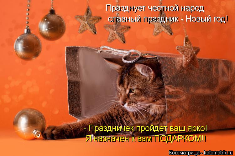Котоматрица: Празднует честной народ славный праздник - Новый год! - Праздничек пройдет ваш ярко! Я назначен к вам ПОДАРКОМ!!