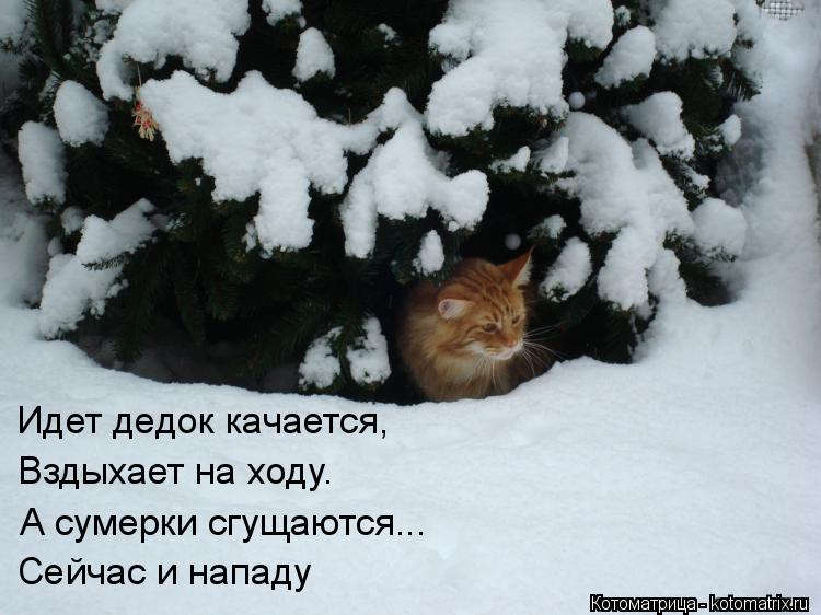 Идет дедок качается, Вздыхает на ходу. А сумерки сгущаются... Сейчас и нападу... Котоматрица: Идет дедок качается, Вздыхает на ходу. А сумерки сгущаются... Сейчас и нападу