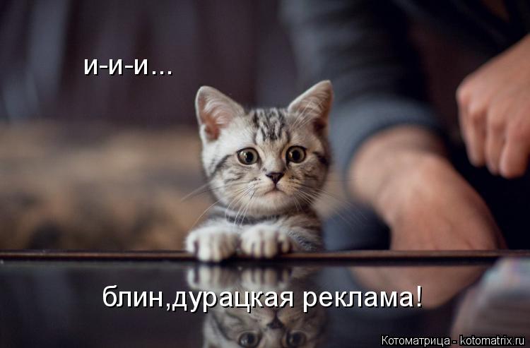 и-и-и... блин,дурацкая реклама!... Котоматрица: и-и-и... блин,дурацкая реклама!