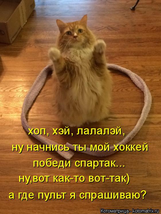 ну начнись ты мой хоккей хоп, хэй, лалалэй, победи спартак... ну,вот как-то вот-так) а где пульт я сп... Котоматрица: ну начнись ты мой хоккей хоп, хэй, лалалэй, победи спартак... ну,вот как-то вот-так) а где пульт я спрашиваю?