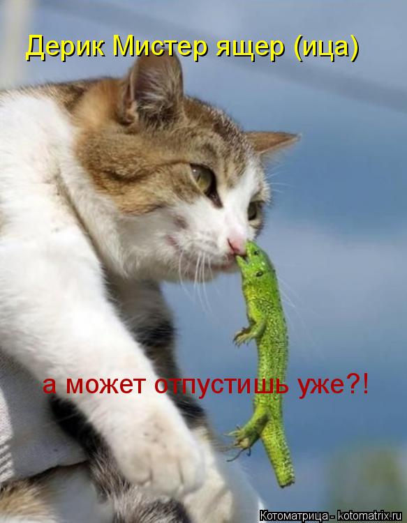 Котоматрица: Дерик Мистер ящер (ица) а может отпустишь уже?!