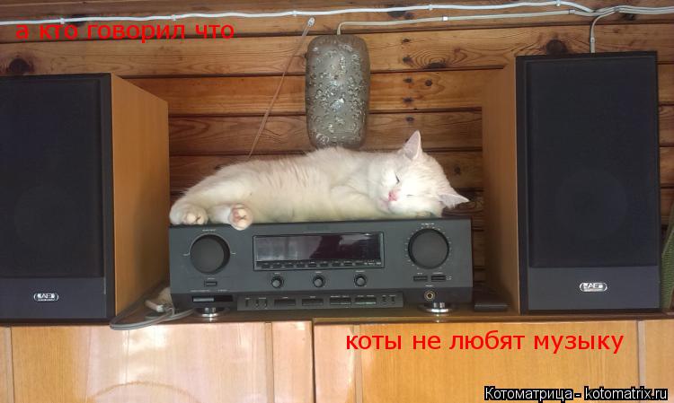 Котоматрица: а кто говорил что а кто говорил что коты не любят музыку коты не любят музыку
