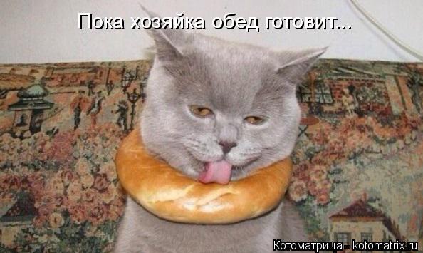 Котоматрица: Пока хозяйка обед готовит...