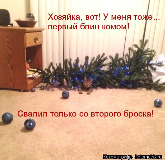 Котоматрица: Хозяйка, вот! У меня тоже...  первый блин комом! Свалил только со второго броска!