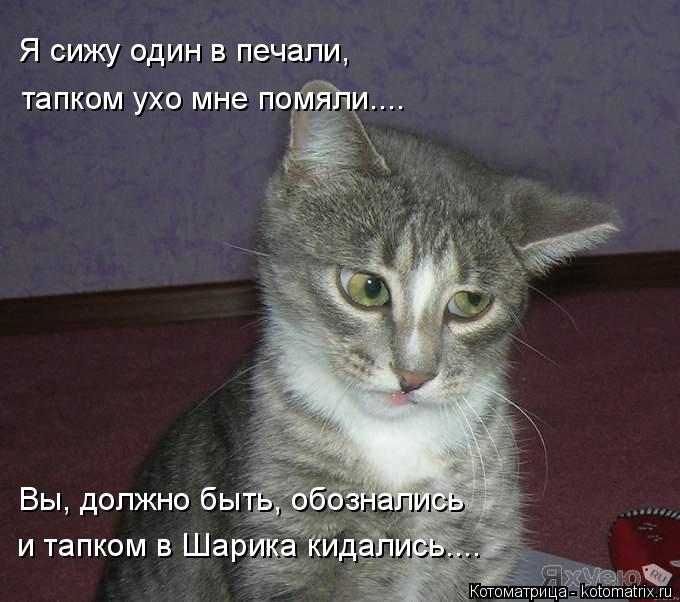 Котоматрица: Я сижу один в печали, тапком ухо мне помяли.... Вы, должно быть, обознались и тапком в Шарика кидались....