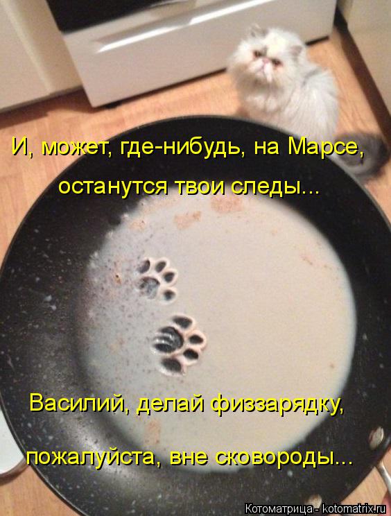 Котоматрица: И, может, где-нибудь, на Марсе, останутся твои следы... Василий, делай физзарядку, пожалуйста, вне сковороды...