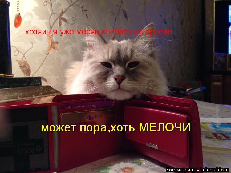 Котоматрица: хозяин,я уже месяц колбасу не просил может пора,хоть МЕЛОЧИ