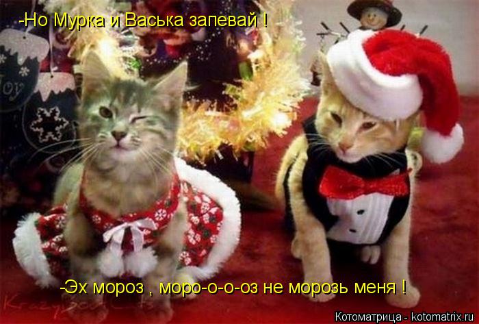 Котоматрица: -Но Мурка и Васька запевай ! -Эх мороз , моро-о-о-оз не морозь меня !