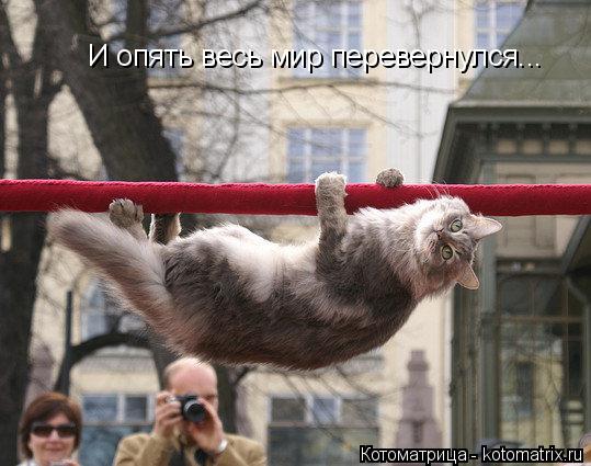 И опять весь мир перевернулся...... Котоматрица: И опять весь мир перевернулся...