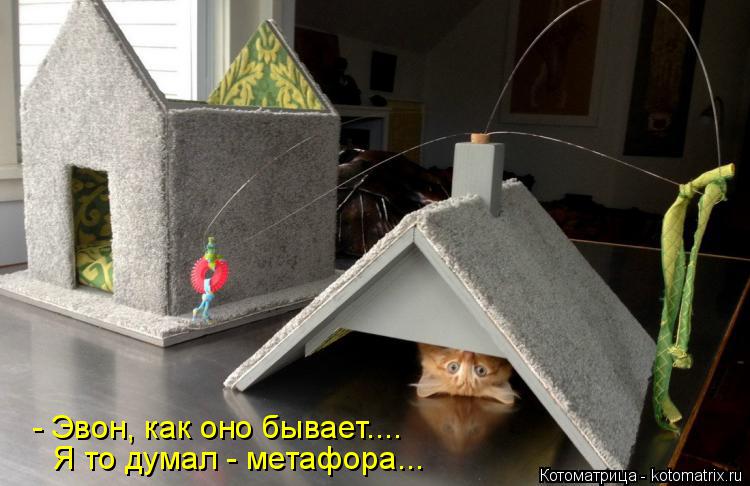 Котоматрица: - Эвон, как оно бывает.... Я то думал - метафора...