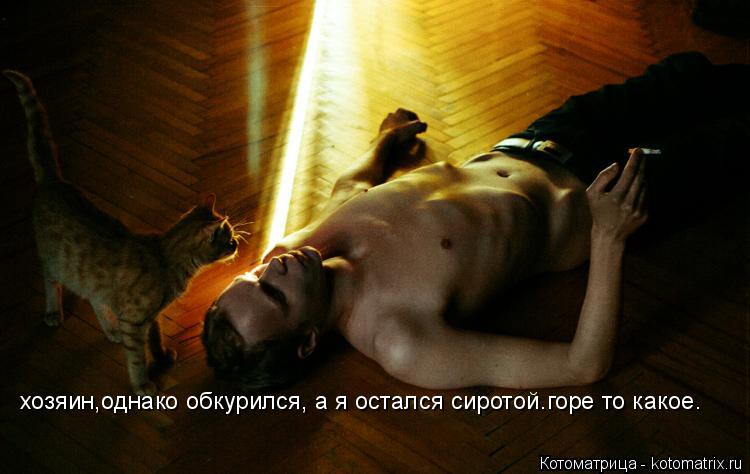 Котоматрица: хозяин,однако обкурился, а я остался сиротой.горе то какое.
